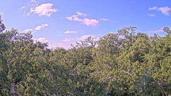 Weather camera view of Metairie Club Gardens.