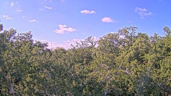 Weather camera view of Metairie Club Gardens.