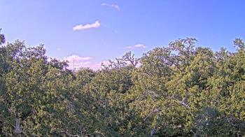Weather camera view of Metairie Club Gardens.