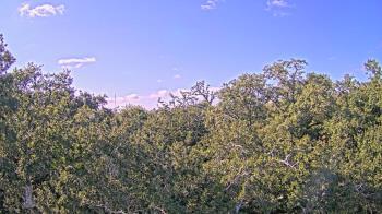 Weather camera view of Metairie Club Gardens.