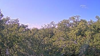 Weather camera view of Metairie Club Gardens.
