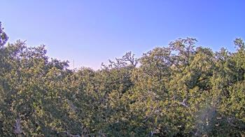 Weather camera view of Metairie Club Gardens.