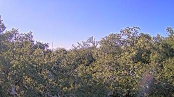 Weather camera view of Metairie Club Gardens.