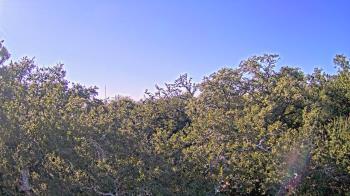 Weather camera view of Metairie Club Gardens.