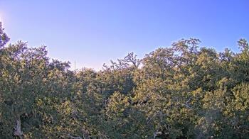 Weather camera view of Metairie Club Gardens.