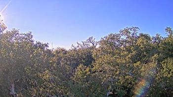 Weather camera view of Metairie Club Gardens.