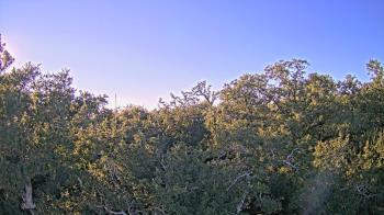 Weather camera view of Metairie Club Gardens.