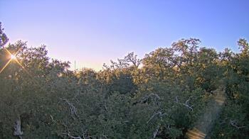 Weather camera view of Metairie Club Gardens.