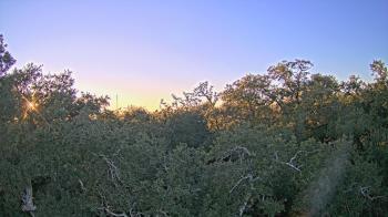 Weather camera view of Metairie Club Gardens.