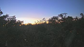 Weather camera view of Metairie Club Gardens.