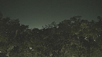 Weather camera view of Metairie Club Gardens.