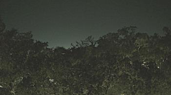 Weather camera view of Metairie Club Gardens.