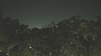 Weather camera view of Metairie Club Gardens.