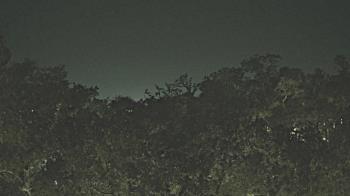 Weather camera view of Metairie Club Gardens.