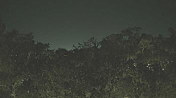 Weather camera view of Metairie Club Gardens.