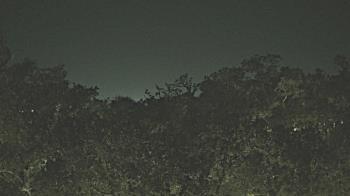 Weather camera view of Metairie Club Gardens.