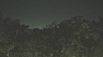 Weather camera view of Metairie Club Gardens.