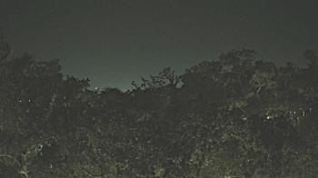 Weather camera view of Metairie Club Gardens.