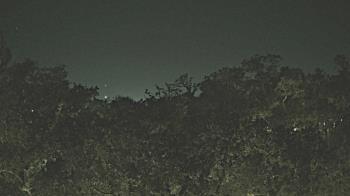 Weather camera view of Metairie Club Gardens.