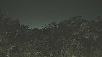 Weather camera view of Metairie Club Gardens.