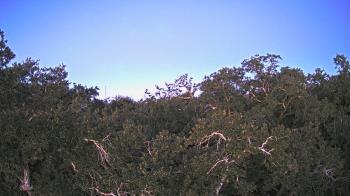Weather camera view of Metairie Club Gardens.