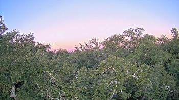 Weather camera view of Metairie Club Gardens.