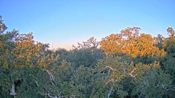 Weather camera view of Metairie Club Gardens.