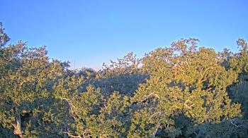 Weather camera view of Metairie Club Gardens.