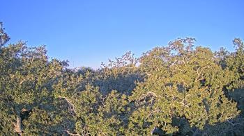 Weather camera view of Metairie Club Gardens.