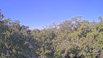 Weather camera view of Metairie Club Gardens.