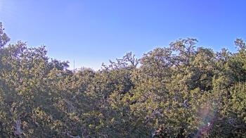 Weather camera view of Metairie Club Gardens.