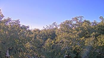 Weather camera view of Metairie Club Gardens.