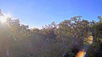 Weather camera view of Metairie Club Gardens.