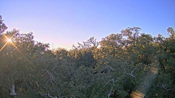Weather camera view of Metairie Club Gardens.