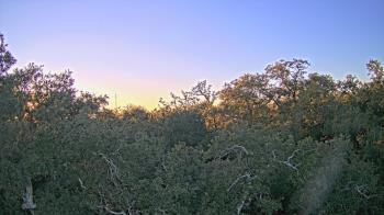 Weather camera view of Metairie Club Gardens.
