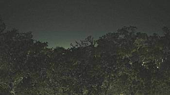 Weather camera view of Metairie Club Gardens.