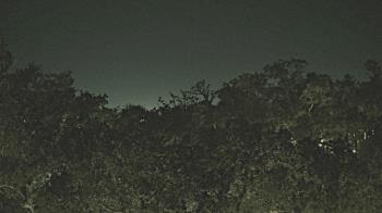 Weather camera view of Metairie Club Gardens.