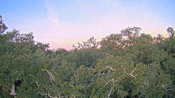 Weather camera view of Metairie Club Gardens.