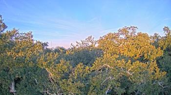 Weather camera view of Metairie Club Gardens.