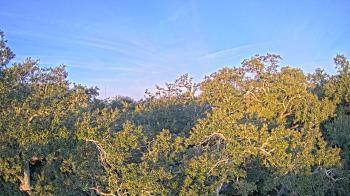 Weather camera view of Metairie Club Gardens.