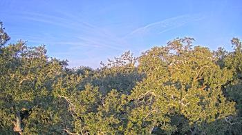 Weather camera view of Metairie Club Gardens.