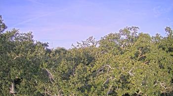 Weather camera view of Metairie Club Gardens.