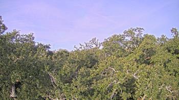 Weather camera view of Metairie Club Gardens.