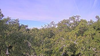 Weather camera view of Metairie Club Gardens.