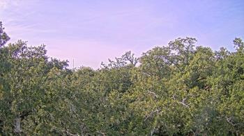 Weather camera view of Metairie Club Gardens.