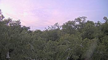 Weather camera view of Metairie Club Gardens.