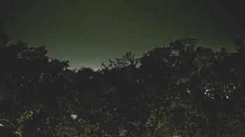 Weather camera view of Metairie Club Gardens.