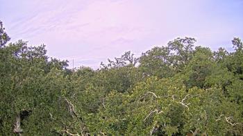 Weather camera view of Metairie Club Gardens.