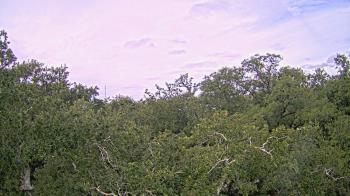 Weather camera view of Metairie Club Gardens.
