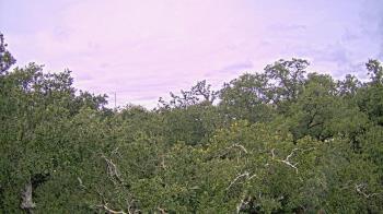 Weather camera view of Metairie Club Gardens.